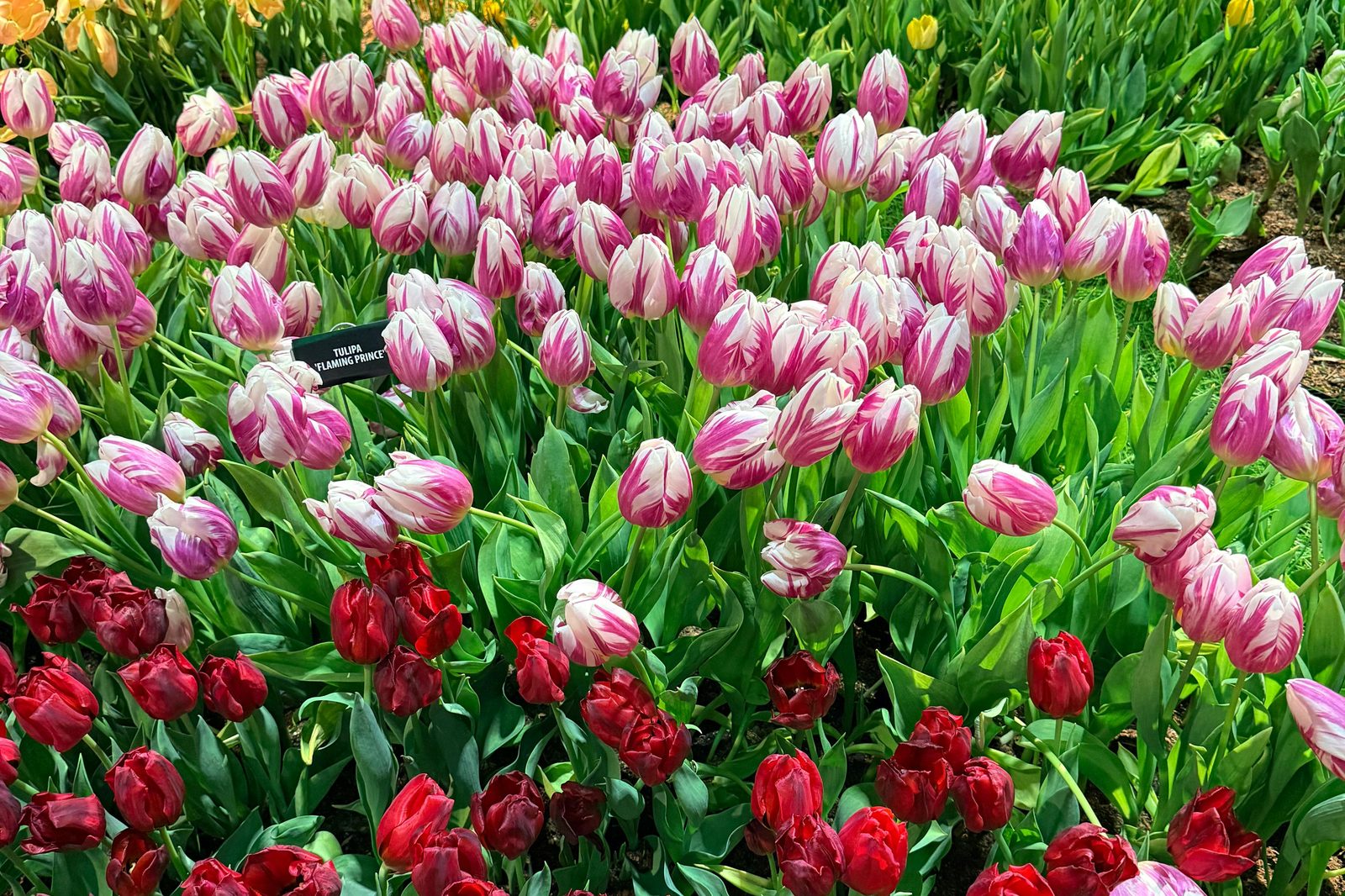 Spring Shopping Guide: What to Buy in Philly Right Now